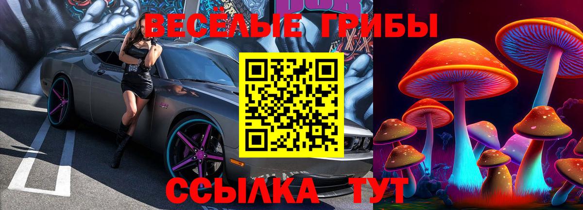 Псилоцибиновые грибы Cubensis  Вход с VPN  Михайловка 
